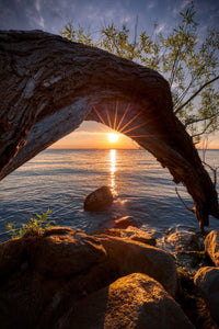 Various Photographers - The Sun and Tree by Dave Hodfler