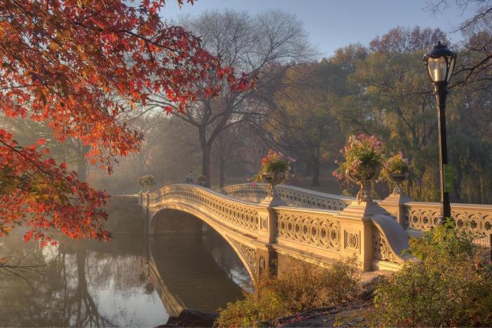 A scenic view of a bridge over a pond in Central Park, New York City, during autumn with leaves changing color and a foggy atmosphere.