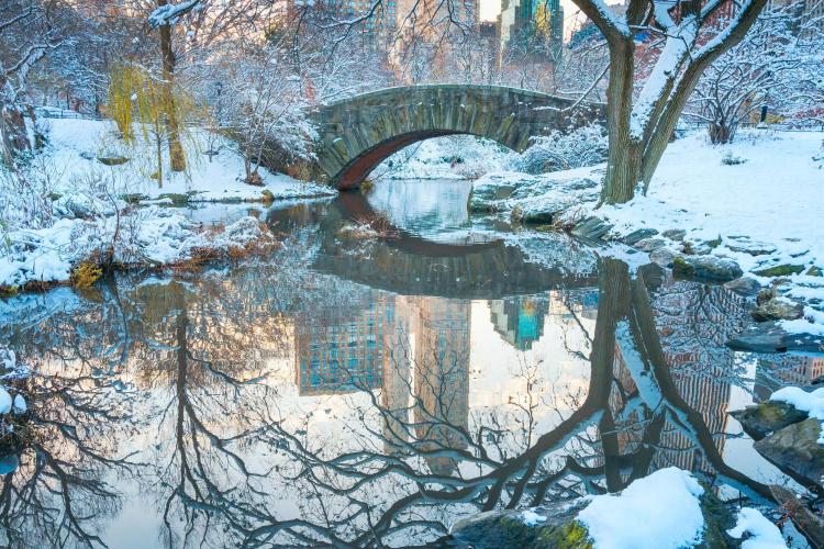 A snowy Central Park with the Gapstow Bridge over a still pond, surrounded by bare trees and reflecting trees in the water.