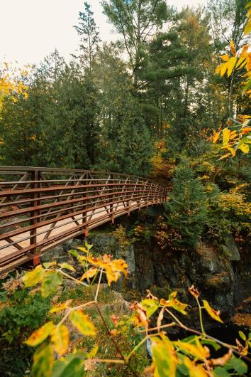 A wooden bridge in a lush green forest with autumn leaves in the foreground.