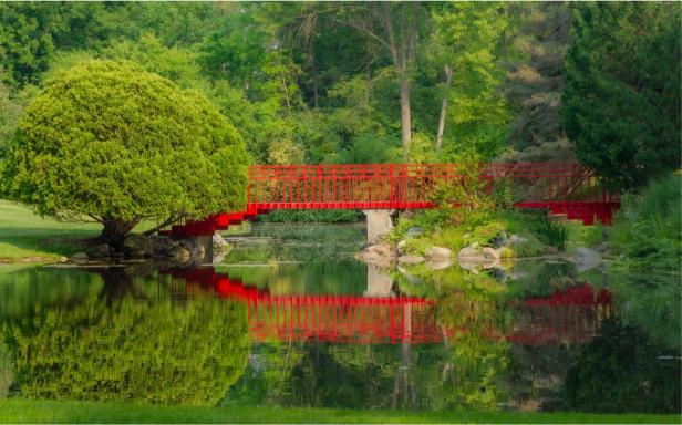A photograph depicting a serene outdoor scene with a red bridge over a pond, surrounded by greenery and a tree on the left side.