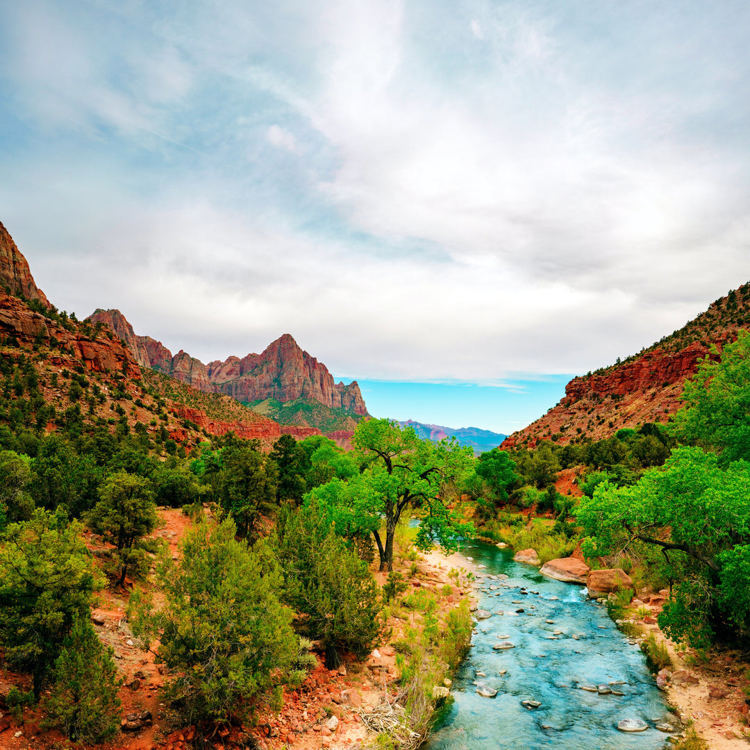 A scenic view of Zion National Park with a river flowing through a lush green landscape, surrounded by red rock cliffs.