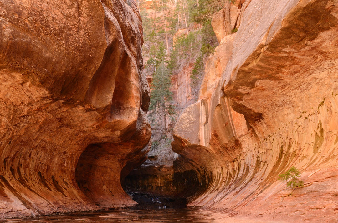A narrow canyon with orange and red walls, featuring a stream of water and a natural arch in the distance.