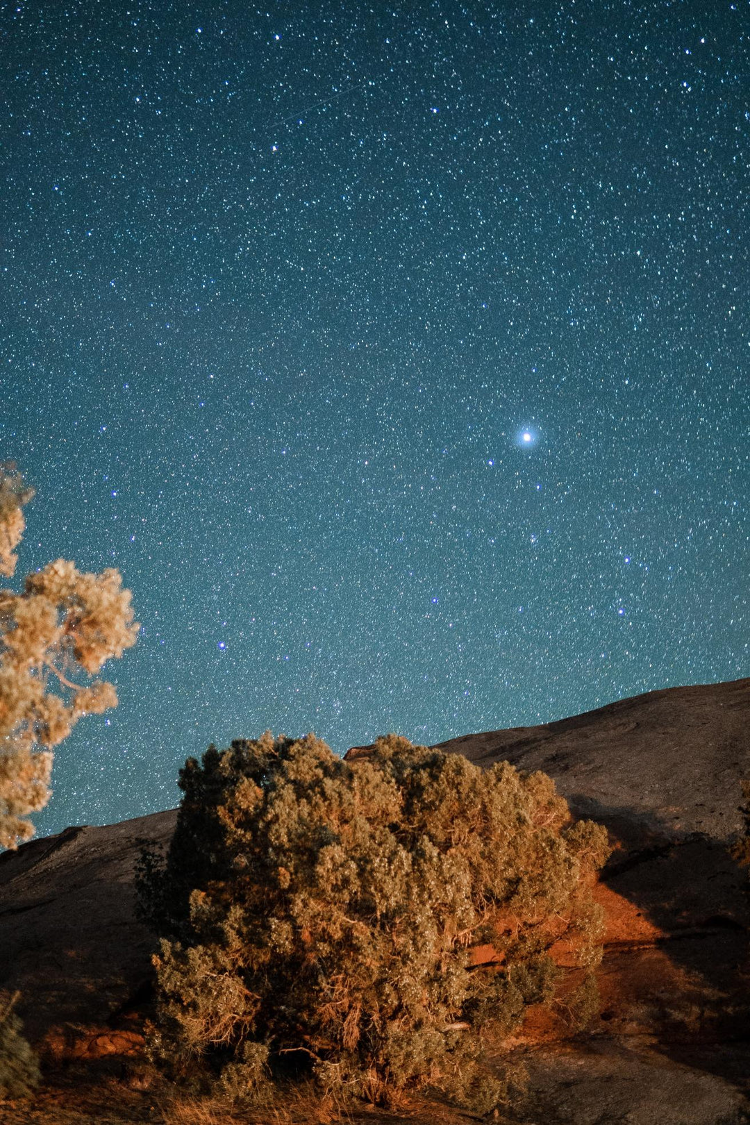 A night sky filled with stars over Arches National Park, with a silhouette of a tree and some rock formations in the foreground.