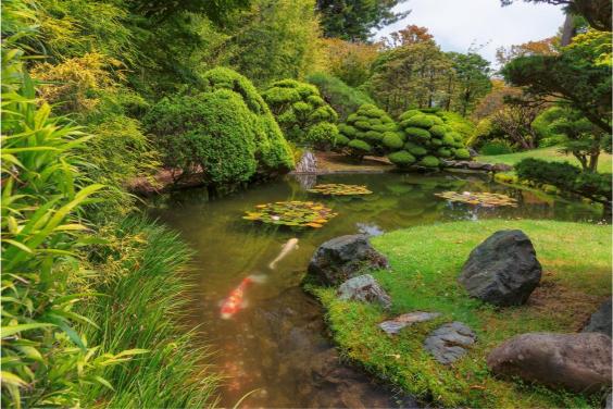 A photograph depicting the San Francisco Japanese Tea Garden with a pond, lush greenery, and large rocks.