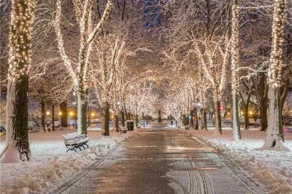A snowy pathway lined with trees decorated with Christmas lights, with a bench on the left side and no people visible.