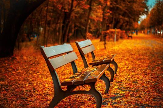 Two wooden benches in a park during autumn, with leaves scattered on the ground and a warm color palette.