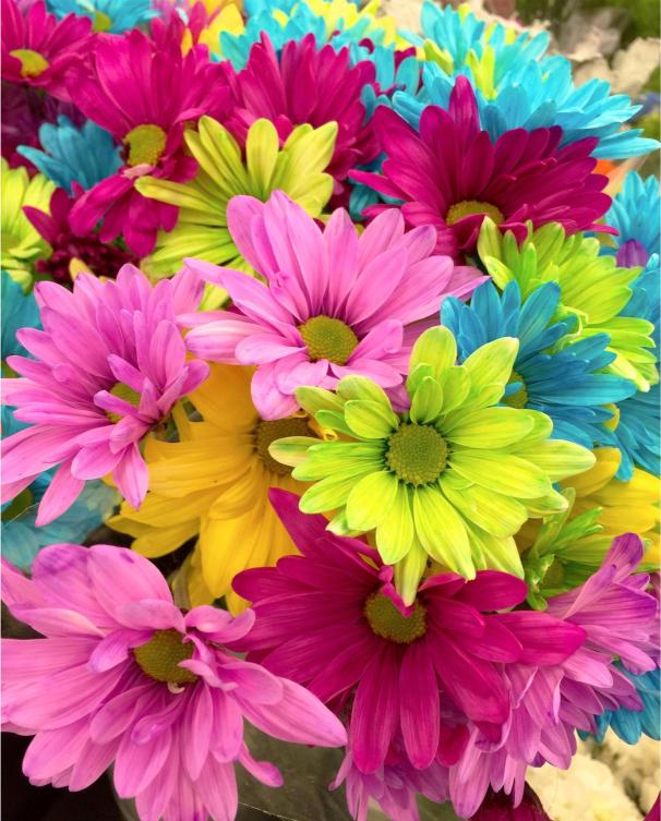 Colorful bouquet of flowers including pink, green, and blue daisies.