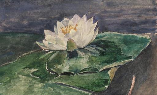 A serene white water lily with soft petals floats on large green leaves, set against a muted water background, conveying a peaceful, tranquil mood.