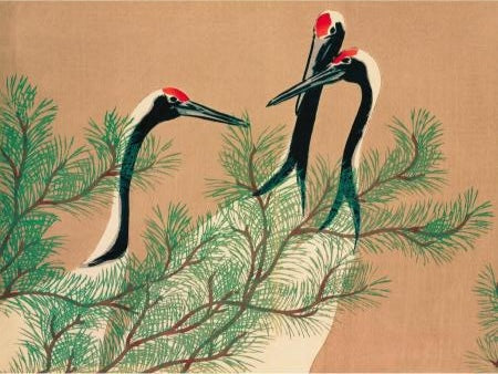 Three red-crowned cranes with black and white plumage stand gracefully among lush green pine branches, set against a soft brown background.