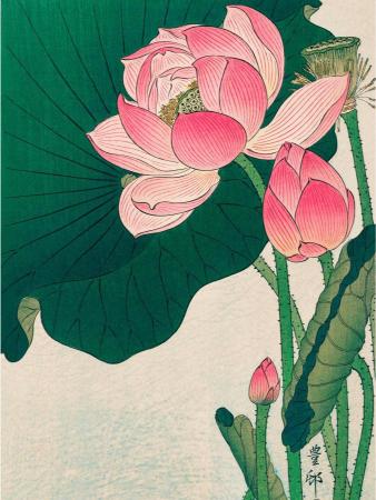 Japanese-style illustration of pink lotus flowers with lush green leaves. The artwork conveys a sense of tranquility and natural beauty.