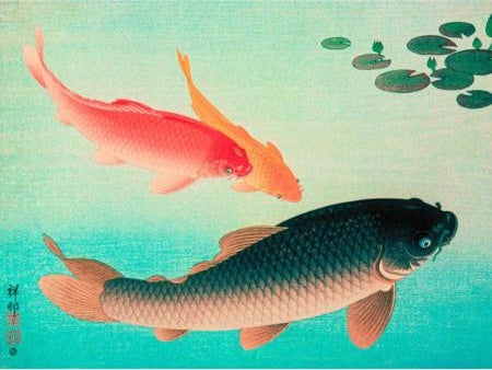 Two koi fish in a pond with lily pads on a textured background