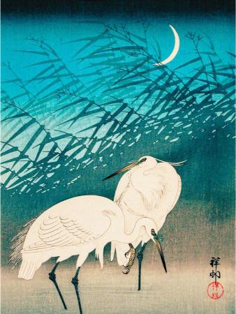 Two elegant white herons stand gracefully among tall grasses under a crescent moonlit sky, bathed in soothing blues and grays, evoking tranquility.