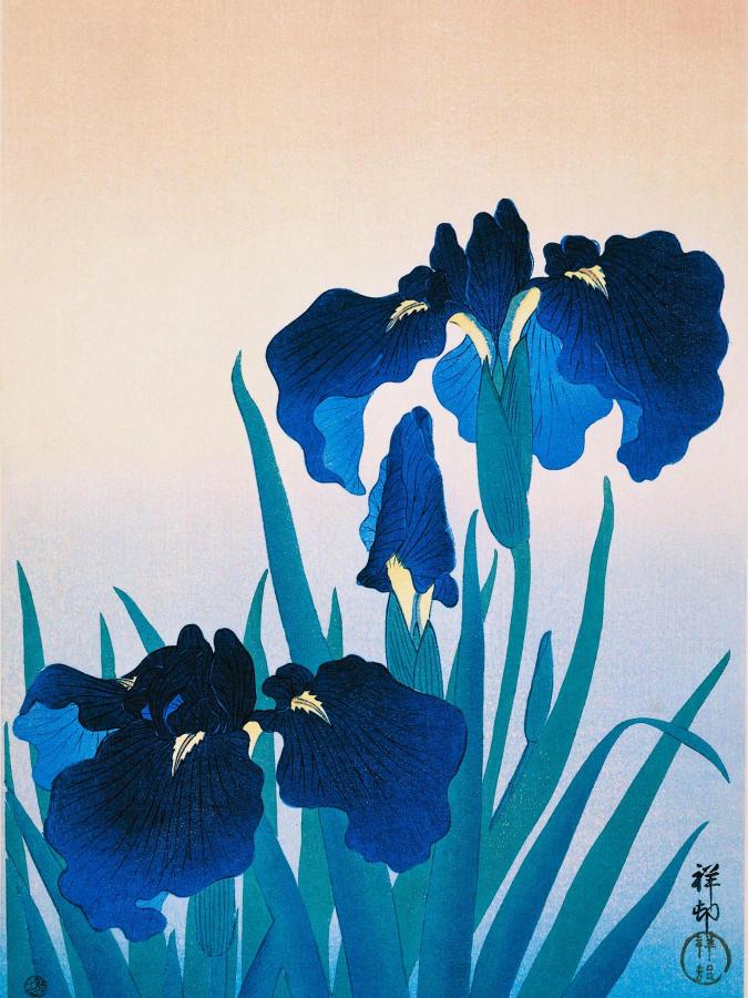 A serene Japanese woodblock print of vibrant blue irises with lush green leaves against a soft gradient background, conveying tranquility and elegance.