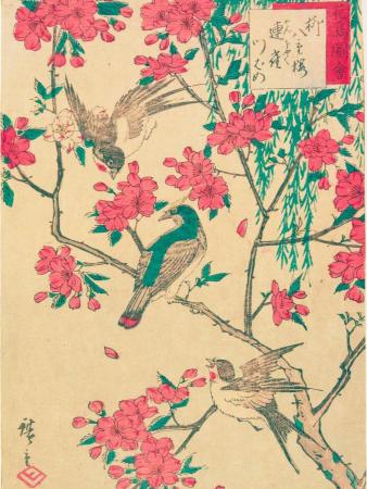 Three birds perch on branches amidst vibrant pink cherry blossoms and green leaves in a traditional Japanese art style, evoking a serene spring mood.