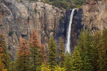 A scenic view of Bridalveil Fall waterfall in Yosemite National Park, with trees in the foreground and autumn colors.