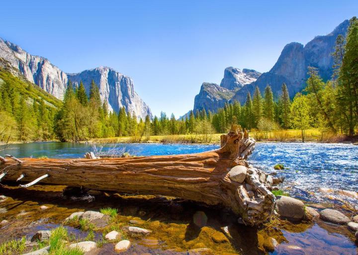 A scenic view of a river in Yosemite National Park with a log in the foreground and mountains in the background.