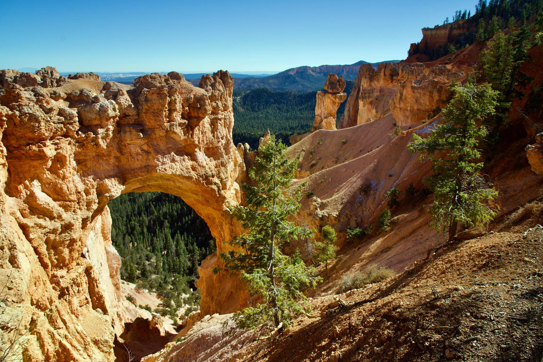 A scenic view of a natural bridge in Zion National Park with trees in the foreground and mountains in the background.