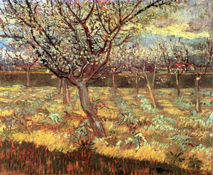 Van Gogh - Apricot Trees in Blossom