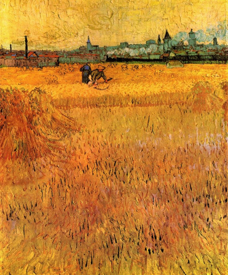 Van Gogh - Arles Wheat Fields