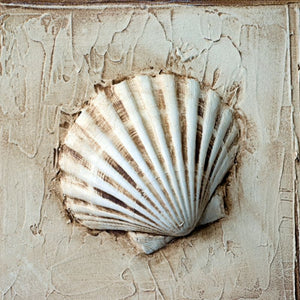 Various Artists - 3D Sea Shell