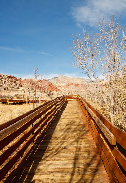 Various Photographers - Calico Hills Bridge