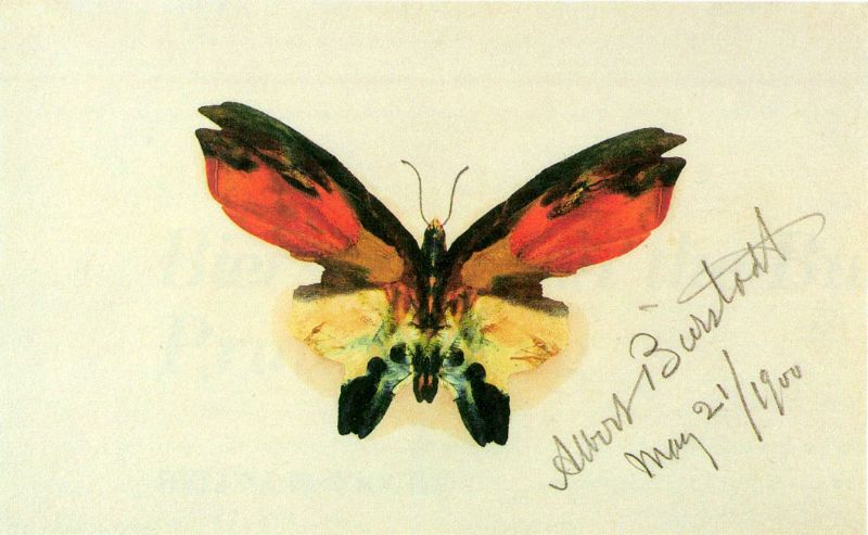 Albert Bierstadt - Butterfly 2