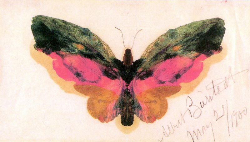 Albert Bierstadt - Butterfly