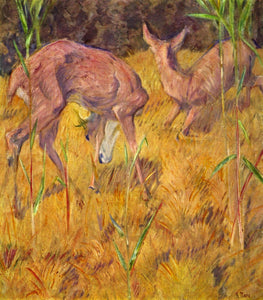 Deer in the reed by Marc