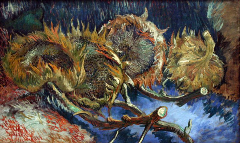 Van Gogh - Four Sunflowers gone to Seed