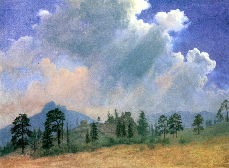 Albert Bierstadt - Fir Trees and Storm Clouds by Bierstadt