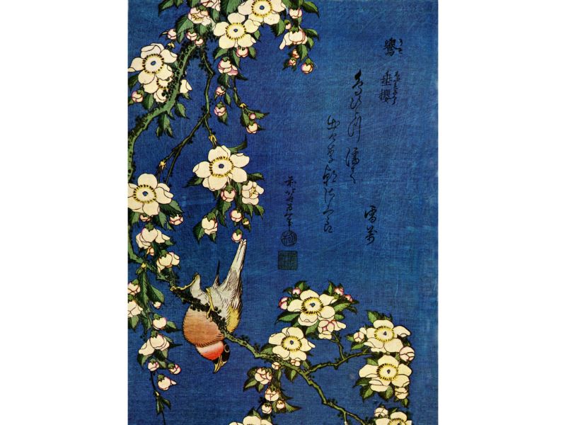Hokusai - Bullfinch and Drooping Cherry by Hokusai