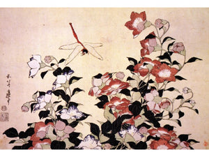 Hokusai - Chinese Bell Flower and Dragon-Fly by Hokusai