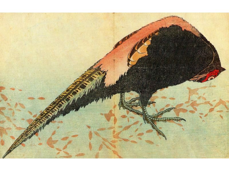 Hokusai - Pheasant on the Snow by Hokusai