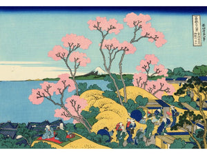 Hokusai - The Fuji from Gotenyama by Hokusai