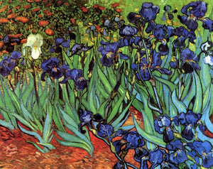 Van Gogh - Irises