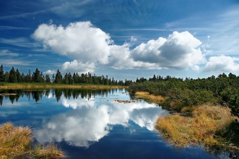 Various Photographers - Lake Reflection