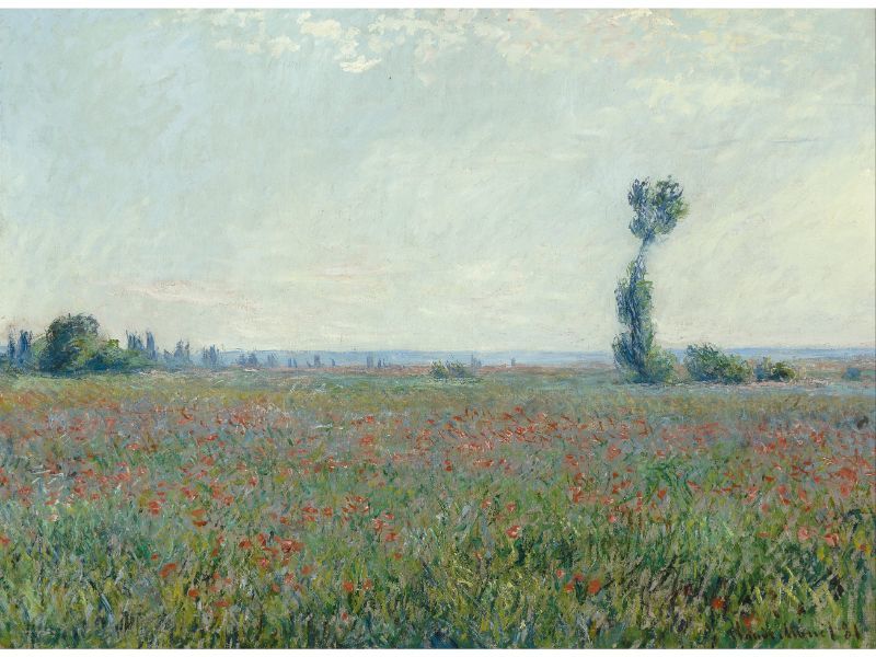 Claude Monet - Monet - Poppy field
