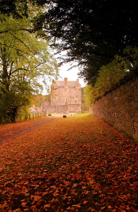 Various Photographers - Neidpath Castle