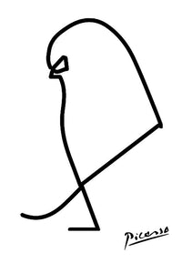 Picasso Dove Sketch