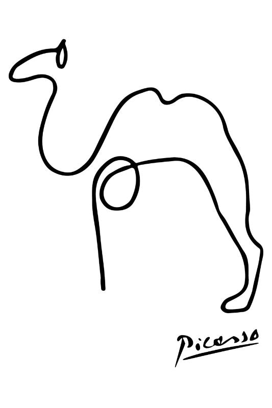 Picasso Camel