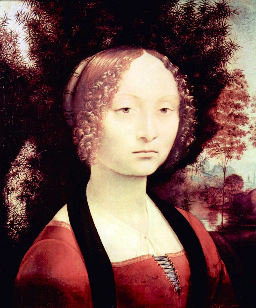 Da Vinci, Leonardo - Portrait of a Dame (Ginevra Benci) by Da Vinci