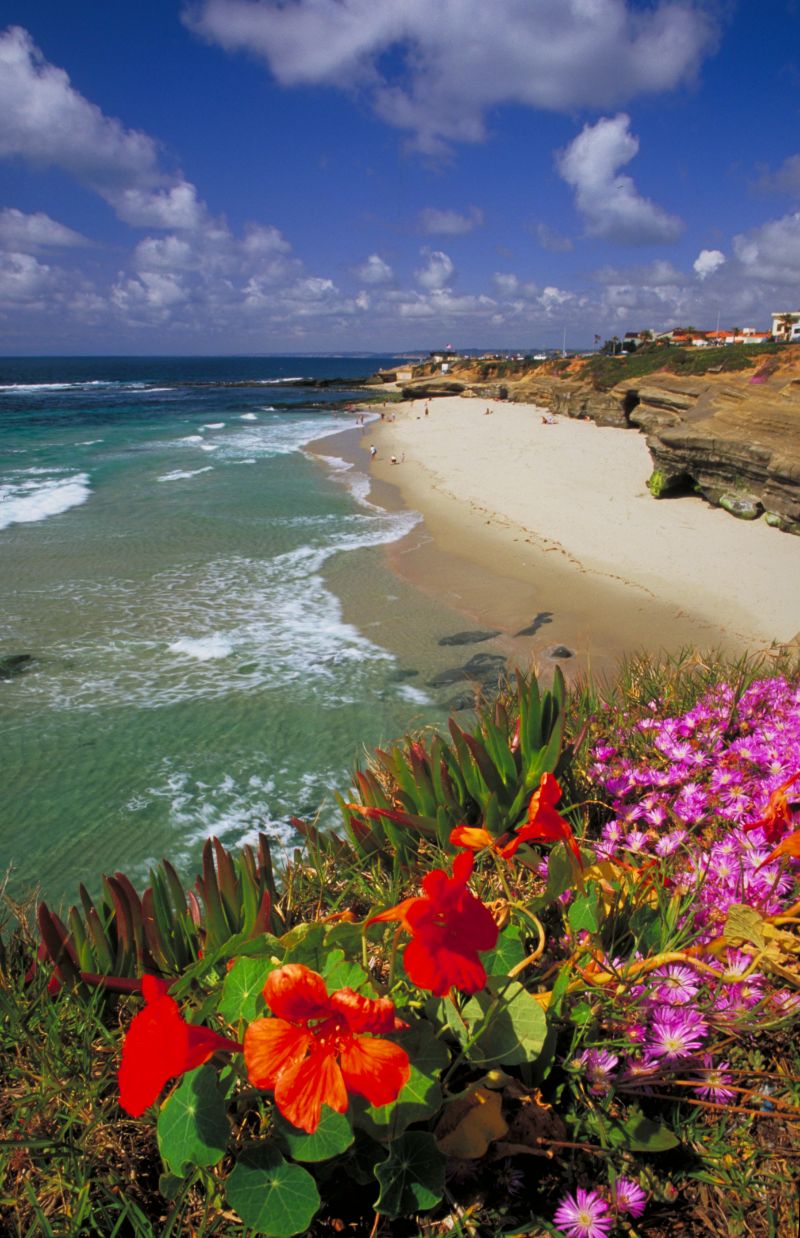 Various Photographers - San Diego Beach