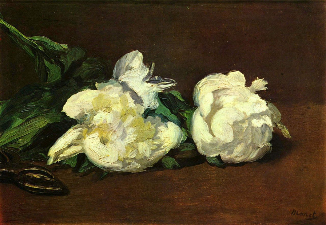 Édouard Manet - Still life, White Peony by Manet