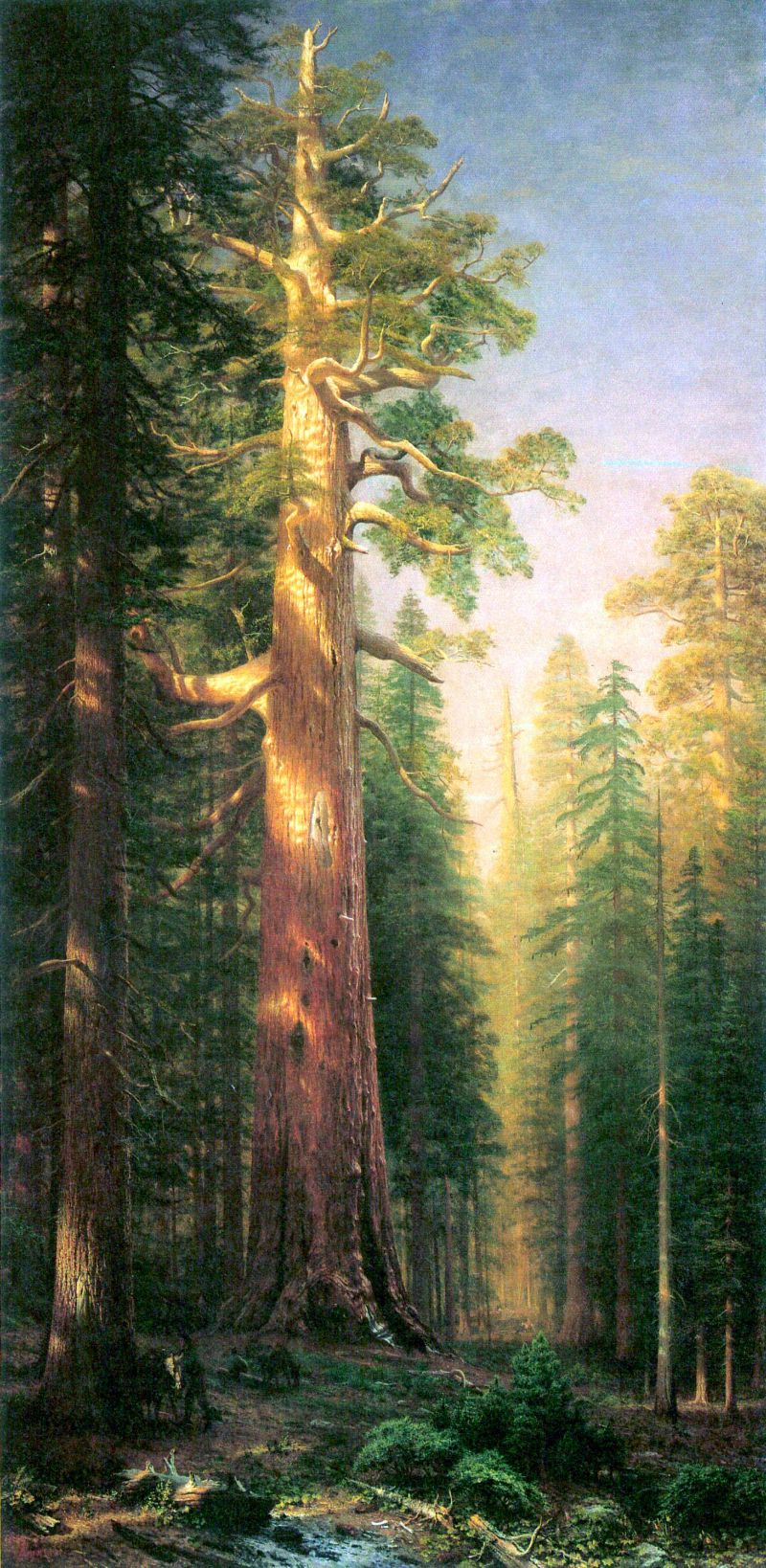 Albert Bierstadt - The Big Trees, Mariposa Grove, Cal.