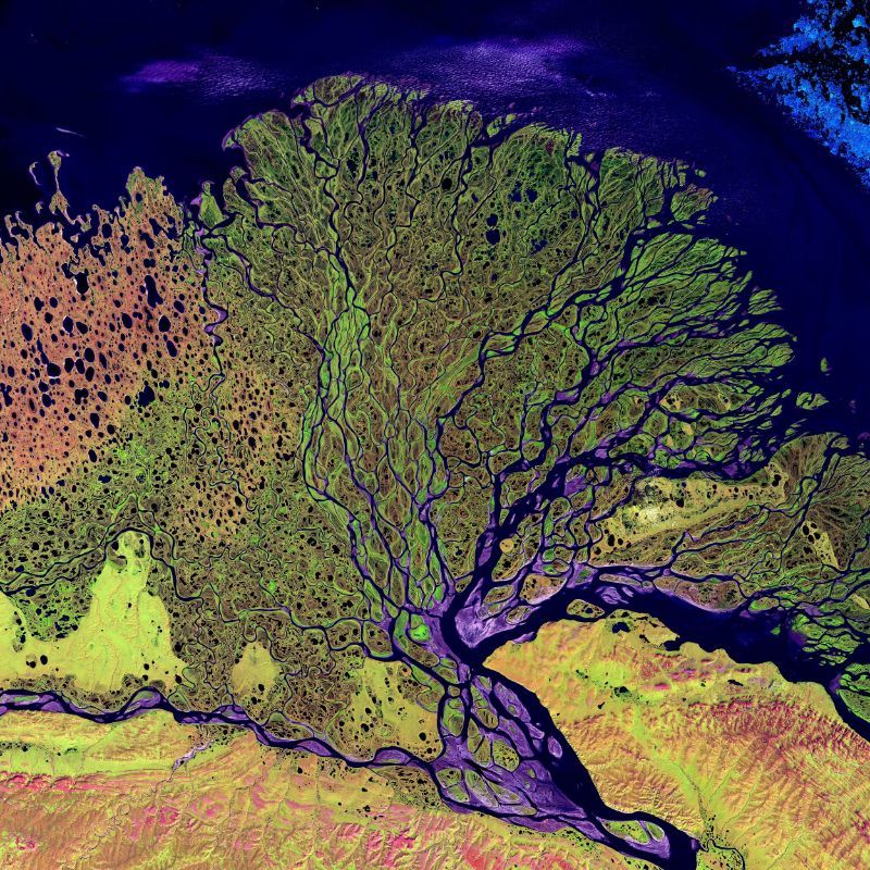 A colorful artistic representation of a river delta region with a blend of green, purple, and brown tones.