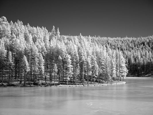 Various Photographers - Black and White Winter