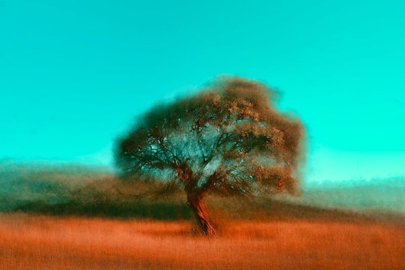 A painting of a tree with a blurred blue background.